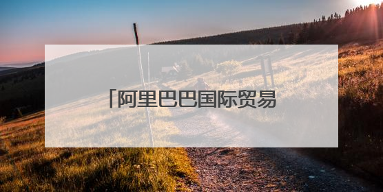 阿里巴巴国际贸易网站优势分析。。。是国际站。。。不要给我几个字就概述了那种。我要详细的