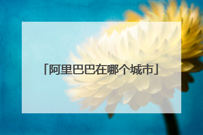 阿里巴巴在哪个城市