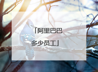阿里巴巴多少员工