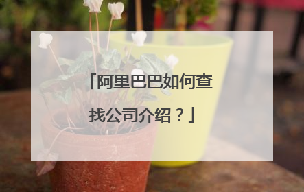 阿里巴巴如何查找公司介绍?