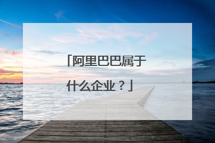 阿里巴巴属于什么企业?