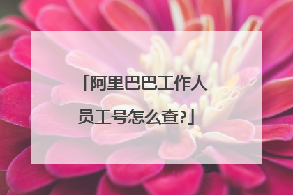 阿里巴巴工作人员工号怎么查?