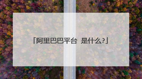 阿里巴巴平台 是什么?