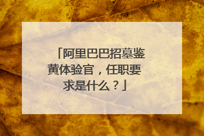 阿里巴巴招墓鉴黄体验官,任职要求是什么?