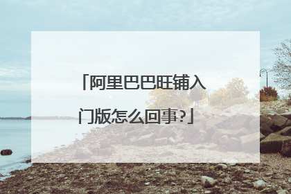 阿里巴巴旺铺入门版怎么回事?