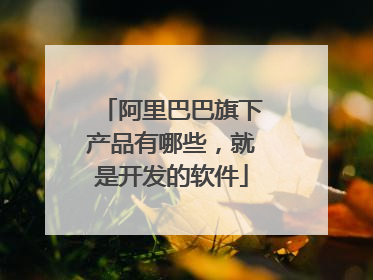 阿里巴巴旗下产品有哪些,就是开发的软件
