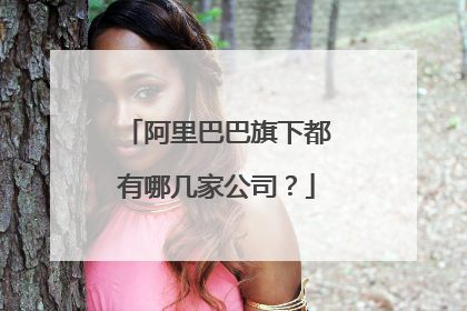 阿里巴巴旗下都有哪几家公司?