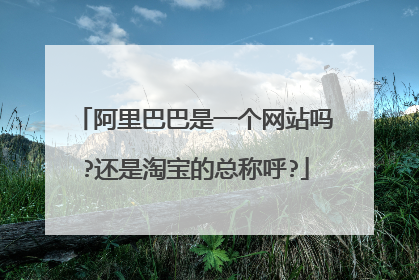 阿里巴巴是一个网站吗?还是淘宝的总称呼?