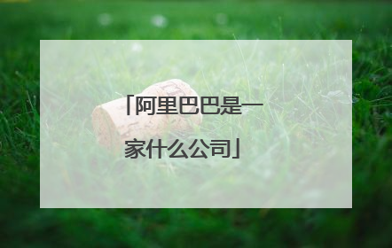 阿里巴巴是一家什么公司