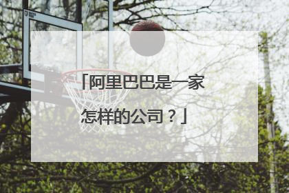 阿里巴巴是一家怎样的公司?