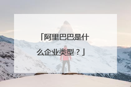 阿里巴巴是什么企业类型？