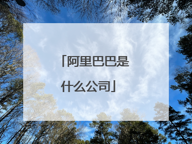 阿里巴巴是什么公司
