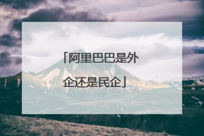 阿里巴巴是外企还是民企