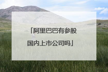 阿里巴巴有参股国内上市公司吗