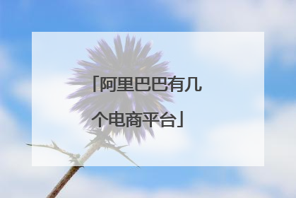 阿里巴巴有几个电商平台