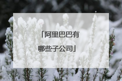 阿里巴巴有哪些子公司