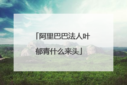 阿里巴巴法人叶郁青什么来头