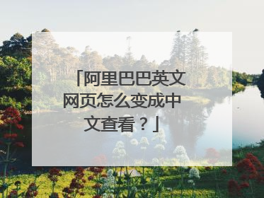 阿里巴巴英文网页怎么变成中文查看?