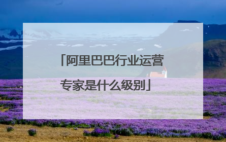 阿里巴巴行业运营专家是什么级别