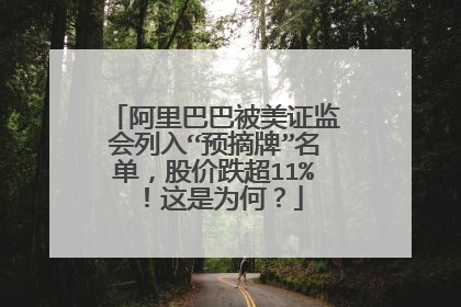 阿里巴巴被美证监会列入“预摘牌”名单,股价跌超11%!这是为何?