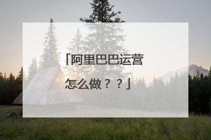 阿里巴巴运营怎么做??