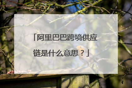 阿里巴巴跨境供应链是什么意思?