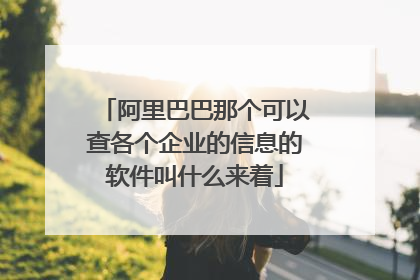 阿里巴巴那个可以查各个企业的信息的软件叫什么来着