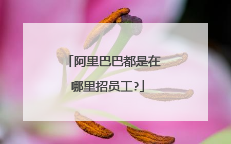 阿里巴巴都是在哪里招员工?