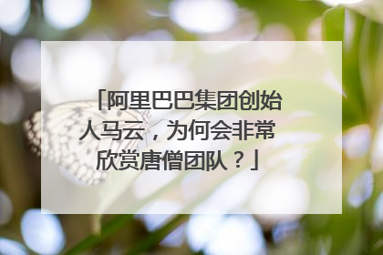 阿里巴巴集团创始人马云，为何会非常欣赏唐僧团队？
