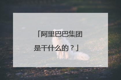 阿里巴巴集团是干什么的?