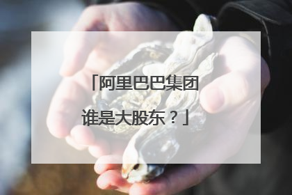 阿里巴巴集团谁是大股东?