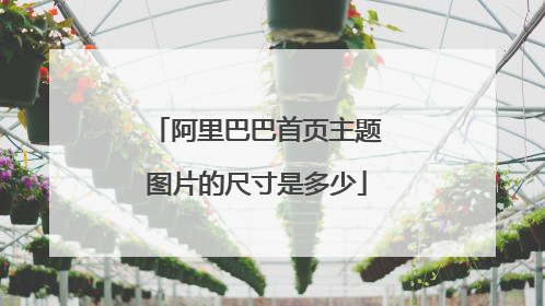 阿里巴巴首页主题图片的尺寸是多少