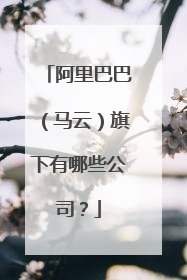 阿里巴巴(马云)旗下有哪些公司?