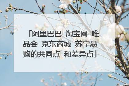 阿里巴巴 淘宝网 唯品会 京东商城 苏宁易购的共同点 和差异点
