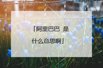 阿里巴巴 是什么意思啊