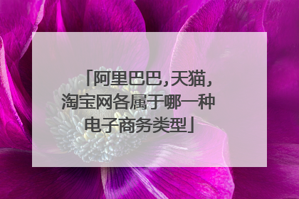 阿里巴巴,天猫,淘宝网各属于哪一种电子商务类型