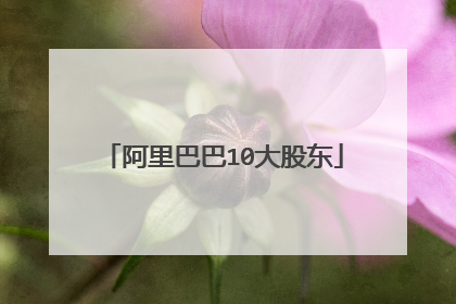 阿里巴巴10大股东