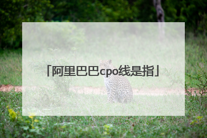 阿里巴巴cpo线是指