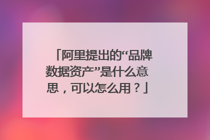阿里提出的“品牌数据资产”是什么意思,可以怎么用?