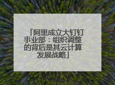阿里成立大钉钉事业部:组织调整的背后是其云计算发展战略
