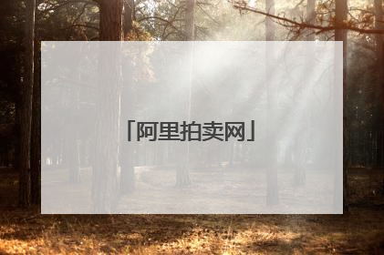 阿里拍卖网