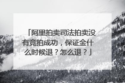 阿里拍卖司法拍卖没有竞拍成功,保证金什么时候退?怎么退?