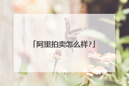阿里拍卖怎么样?