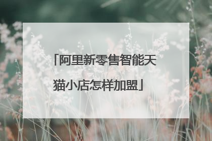 阿里新零售智能天猫小店怎样加盟