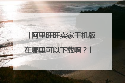 阿里旺旺卖家手机版在哪里可以下载啊？