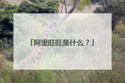阿里旺旺是什么?