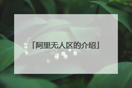 阿里无人区的介绍