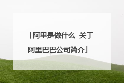 阿里是做什么 关于阿里巴巴公司简介