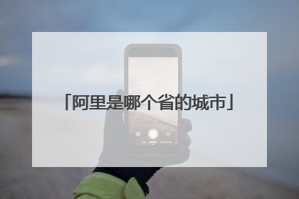 阿里是哪个省的城市