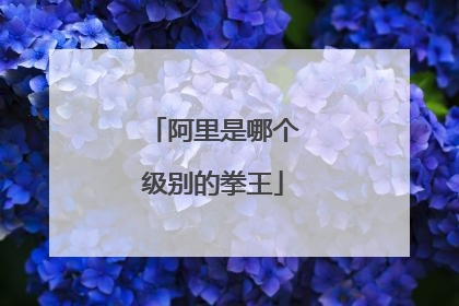 阿里是哪个级别的拳王